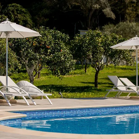 Antigone Estate 펜션